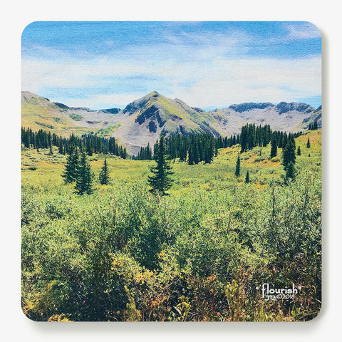 Flourish Coaster
