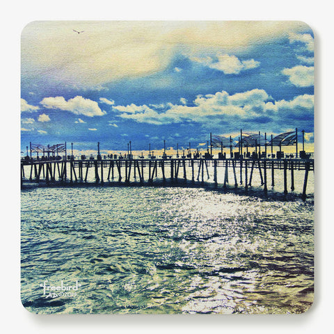 Freebird Coaster