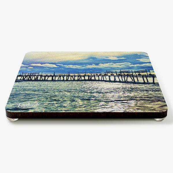 Freebird Coaster
