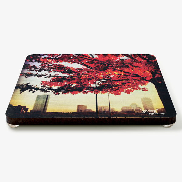 Giving Coaster