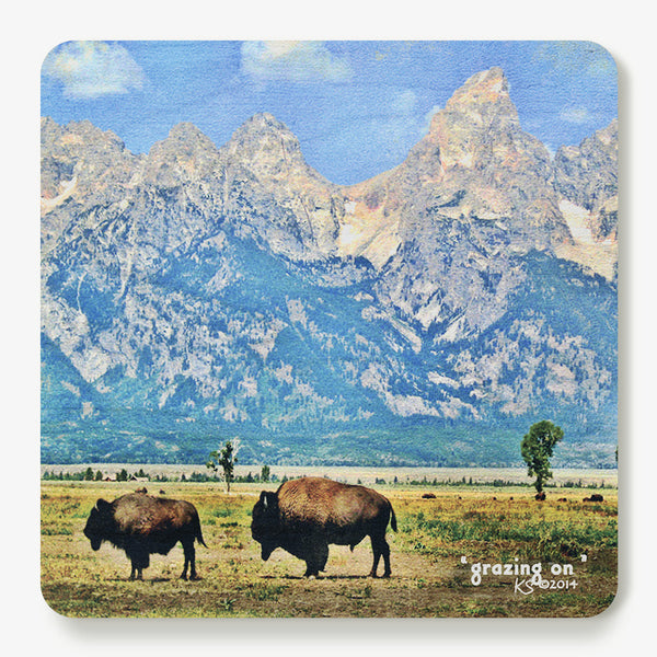 Grazing On Coaster
