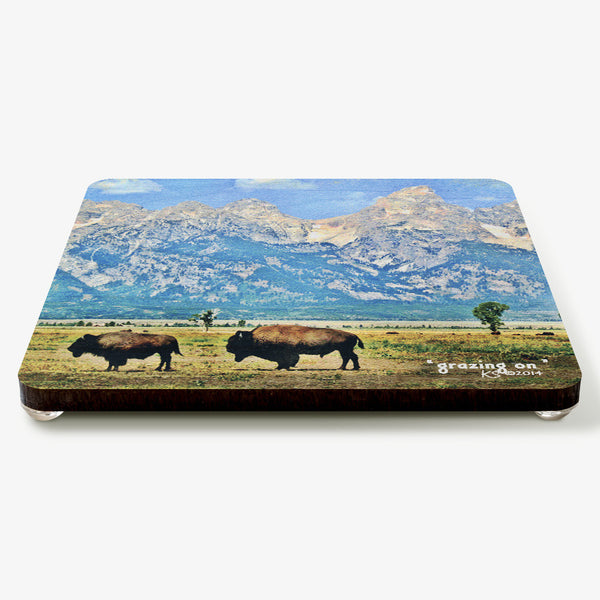 Grazing On Coaster