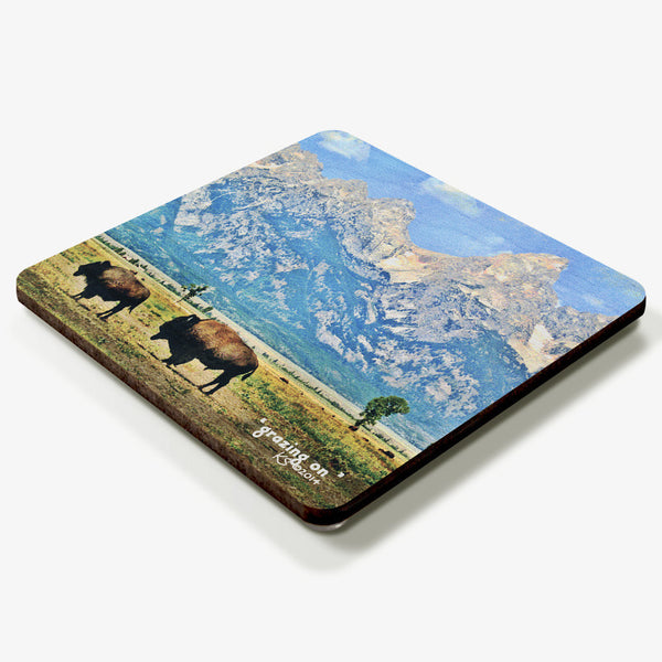 Grazing On Coaster