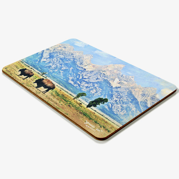 Grazing On Postcard