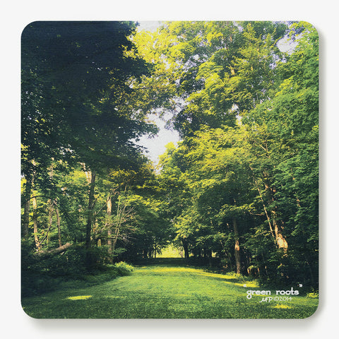 Green Roots Coaster