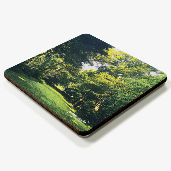 Green Roots Coaster