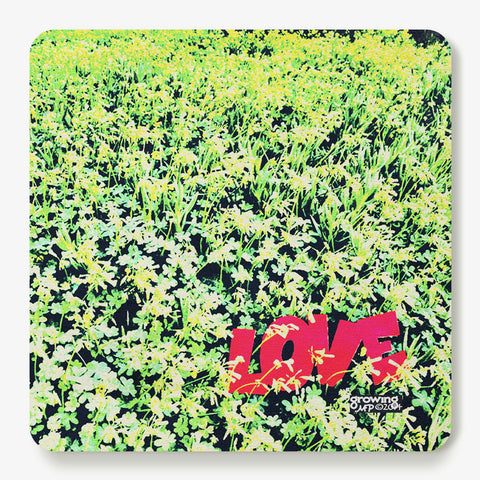 Growing Coaster