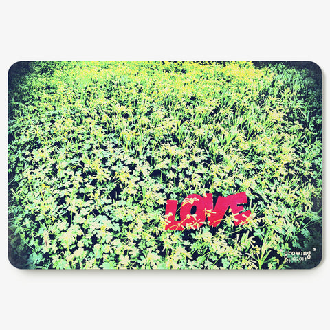 Growing Postcard