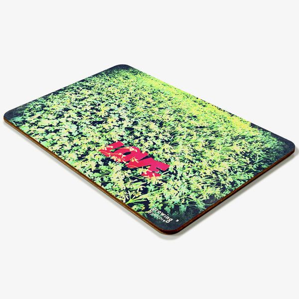 Growing Postcard