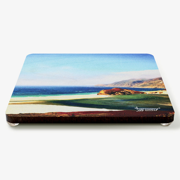 Harmony Coaster