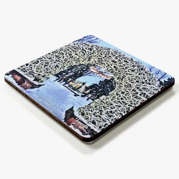 Hearth Coaster