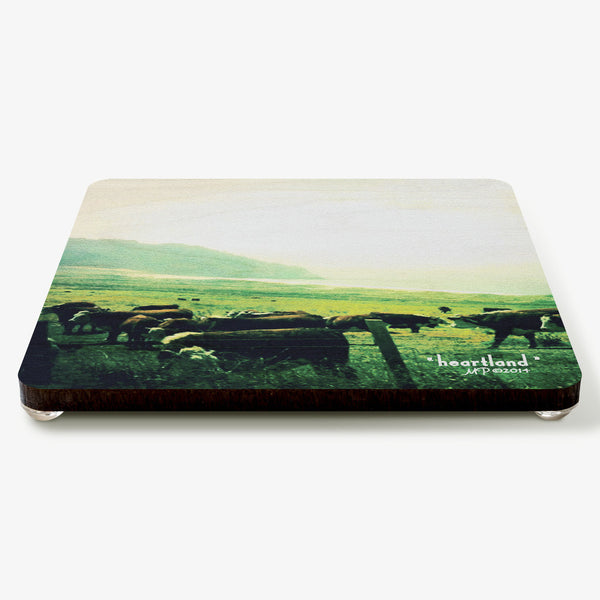 Heartland Coaster