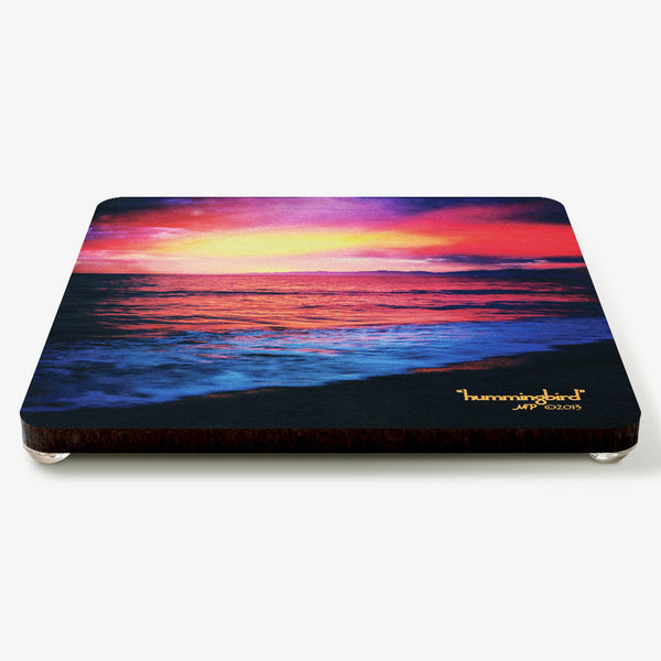 Hummingbird Coaster