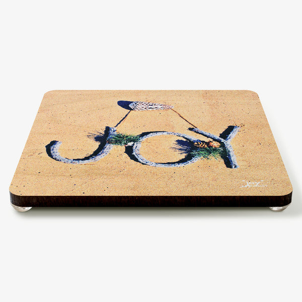 Joy Coaster