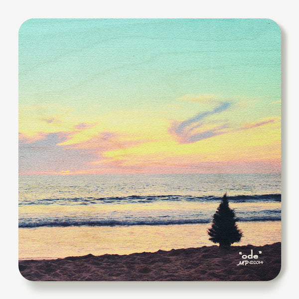 Ode Coaster