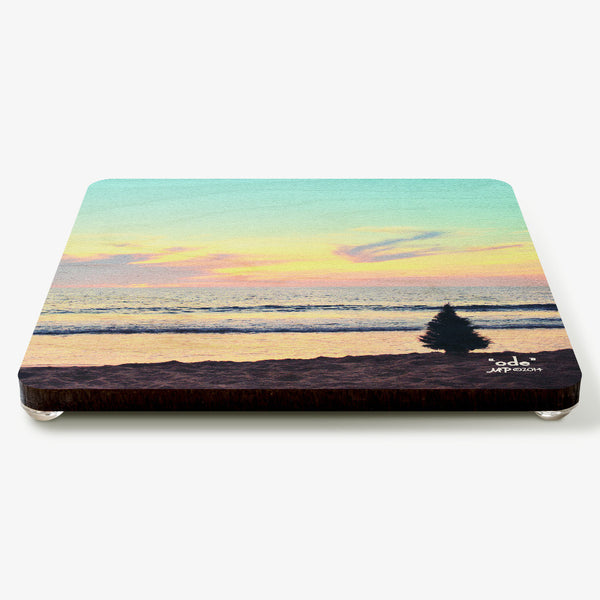 Ode Coaster