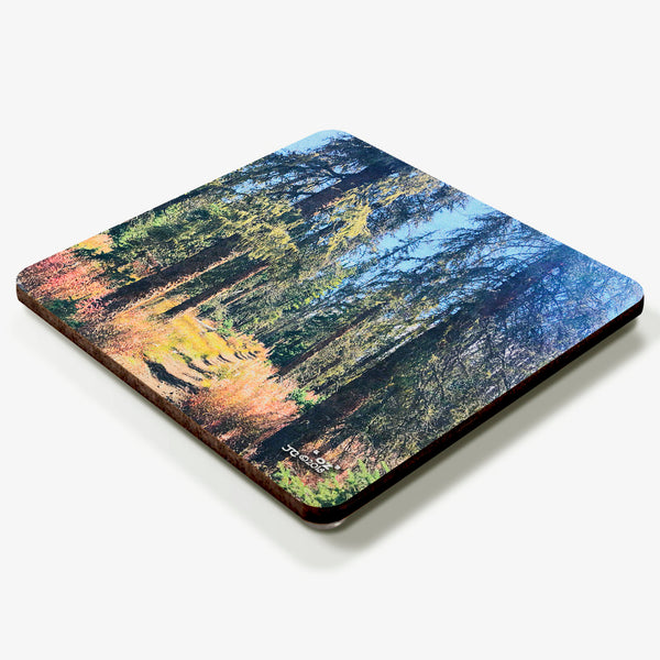 Oz Coaster