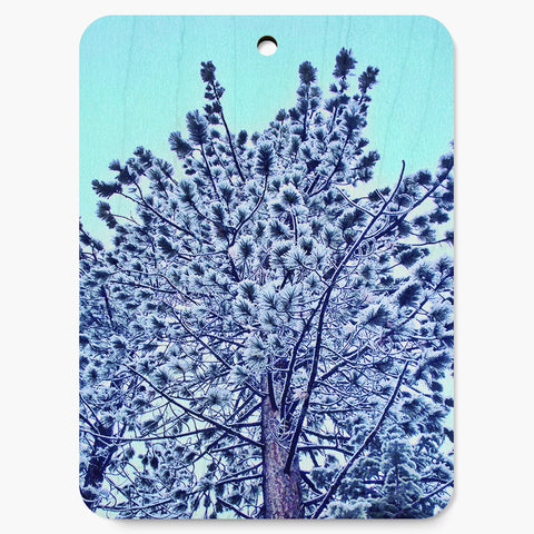 Peacock Ornament
