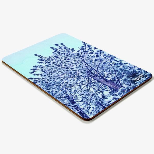 Peacock Postcard