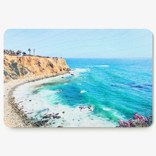 Point V Postcard