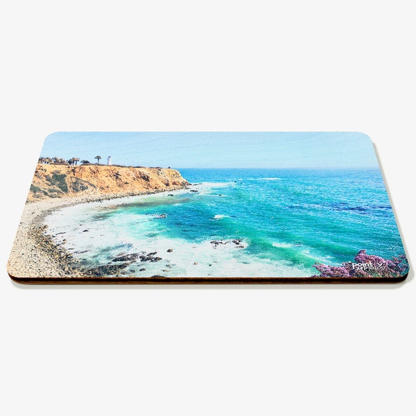 Point V Postcard