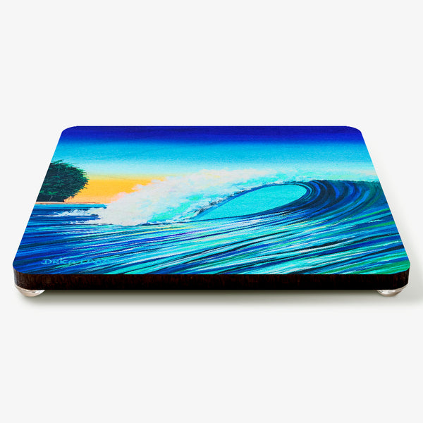 Reflexion Coaster