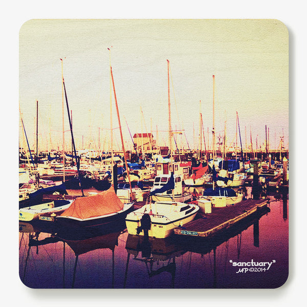 Sanctuary Coaster