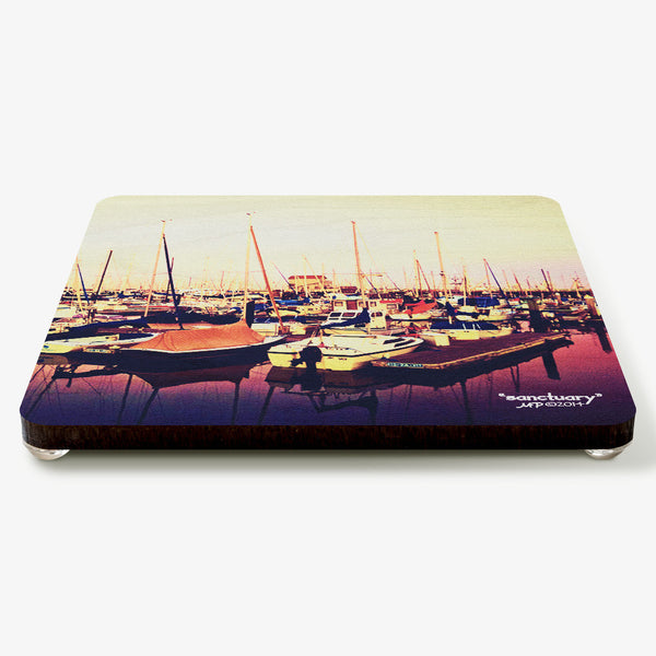Sanctuary Coaster