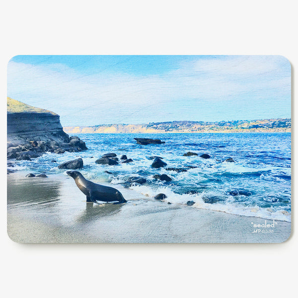 Sealed Postcard