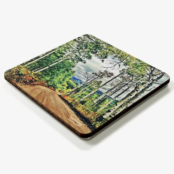 Seeking Coaster