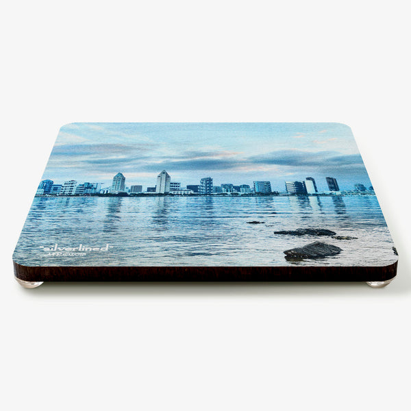 Silverlined Coaster