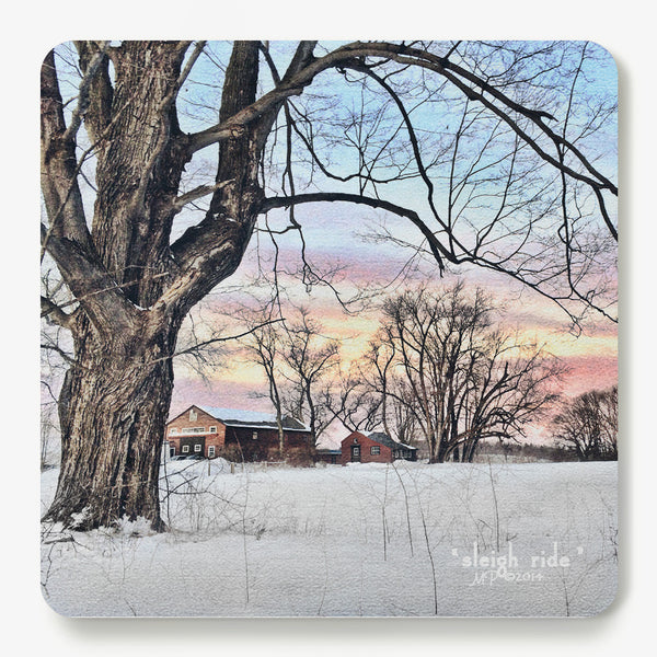 Sleigh Ride Coaster