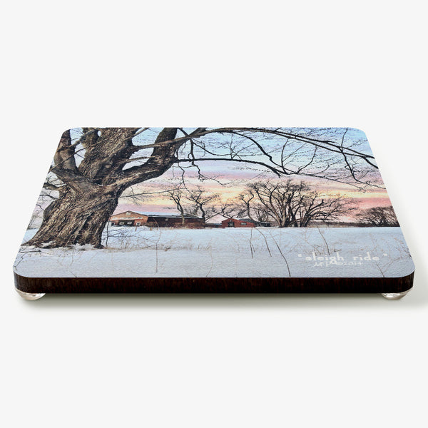 Sleigh Ride Coaster