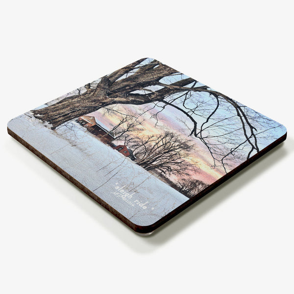 Sleigh Ride Coaster