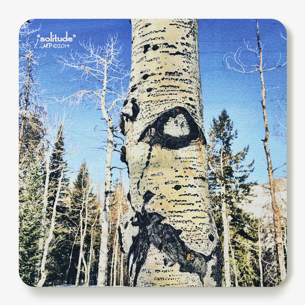 Solitude Coaster