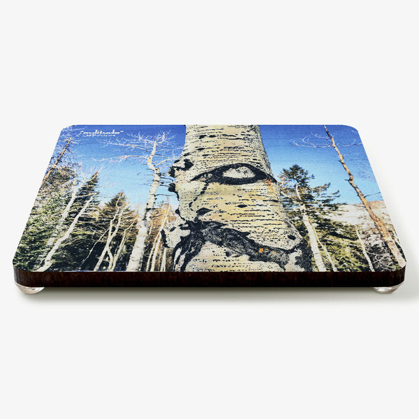 Solitude Coaster