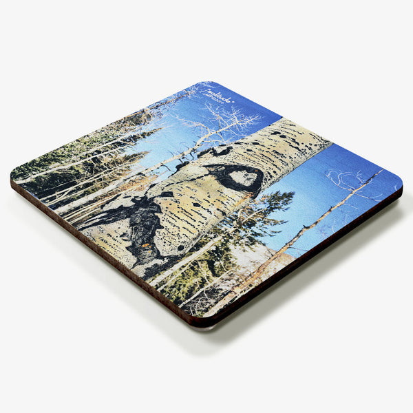 Solitude Coaster