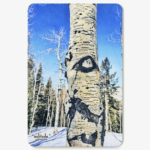 Solitude Postcard