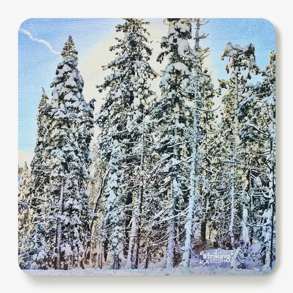 Striking Coaster