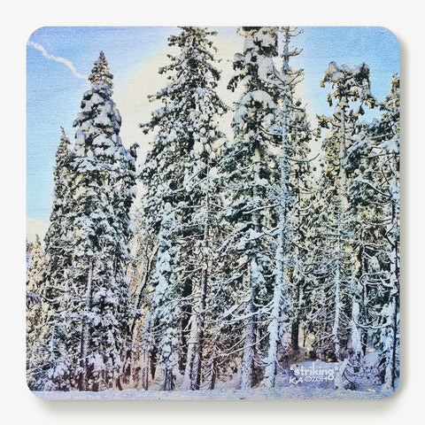 Striking Coaster