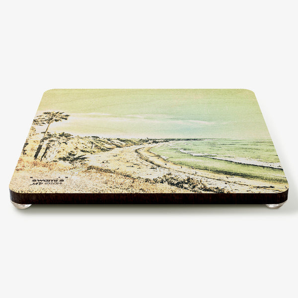 Swami's Coaster