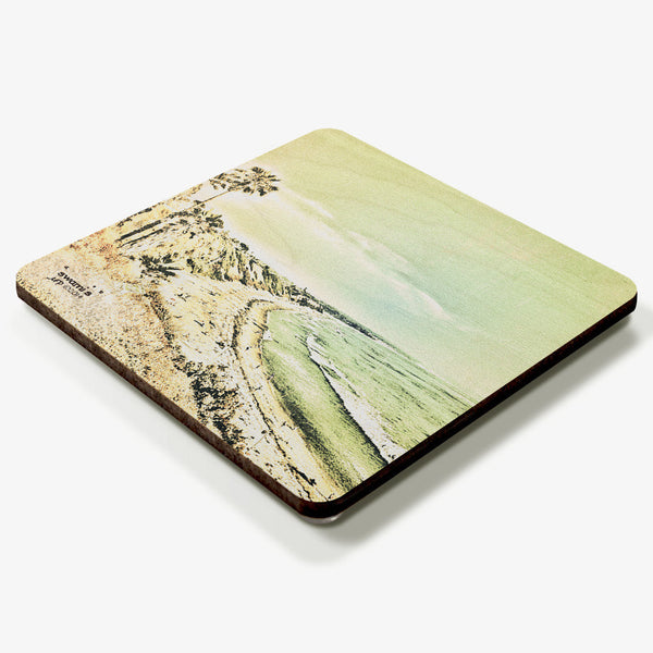 Swami's Coaster