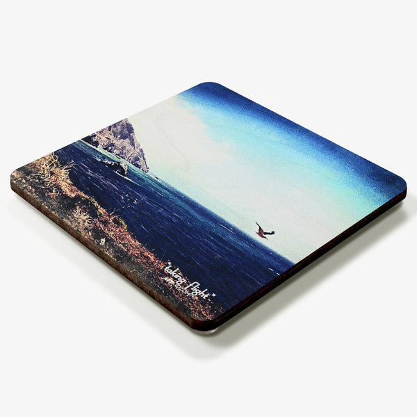 Taking Flight Coaster