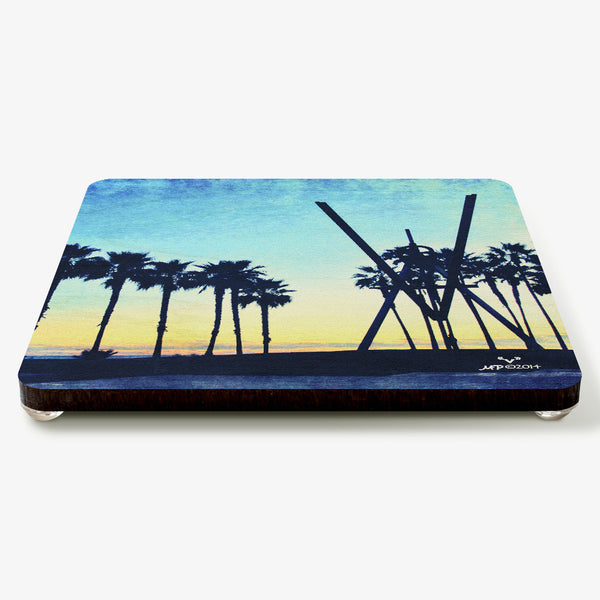 V Coaster