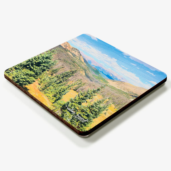 Valley Bound Coaster