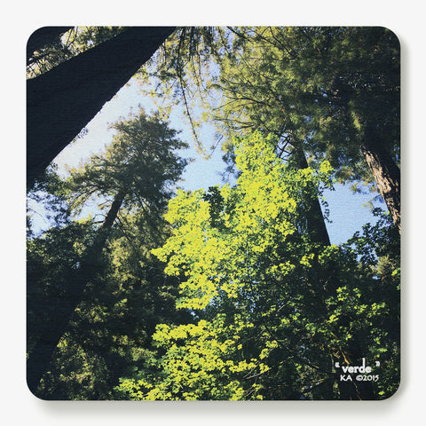 Verde Coaster