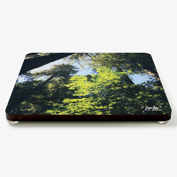 Verde Coaster