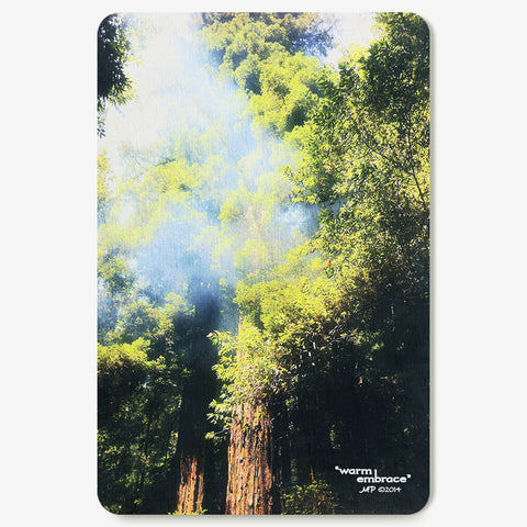 Warm Embrace Postcard