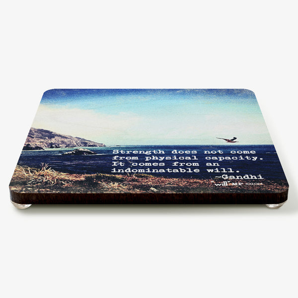 Will Coaster