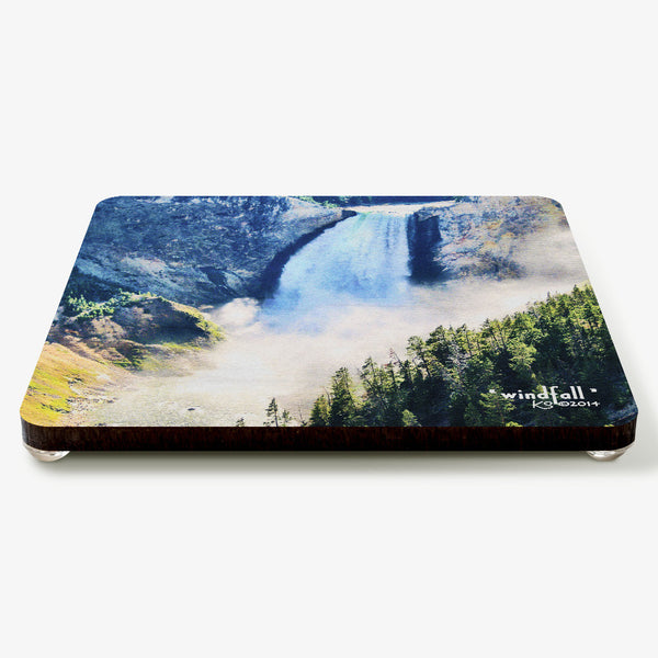 Windfall Coaster